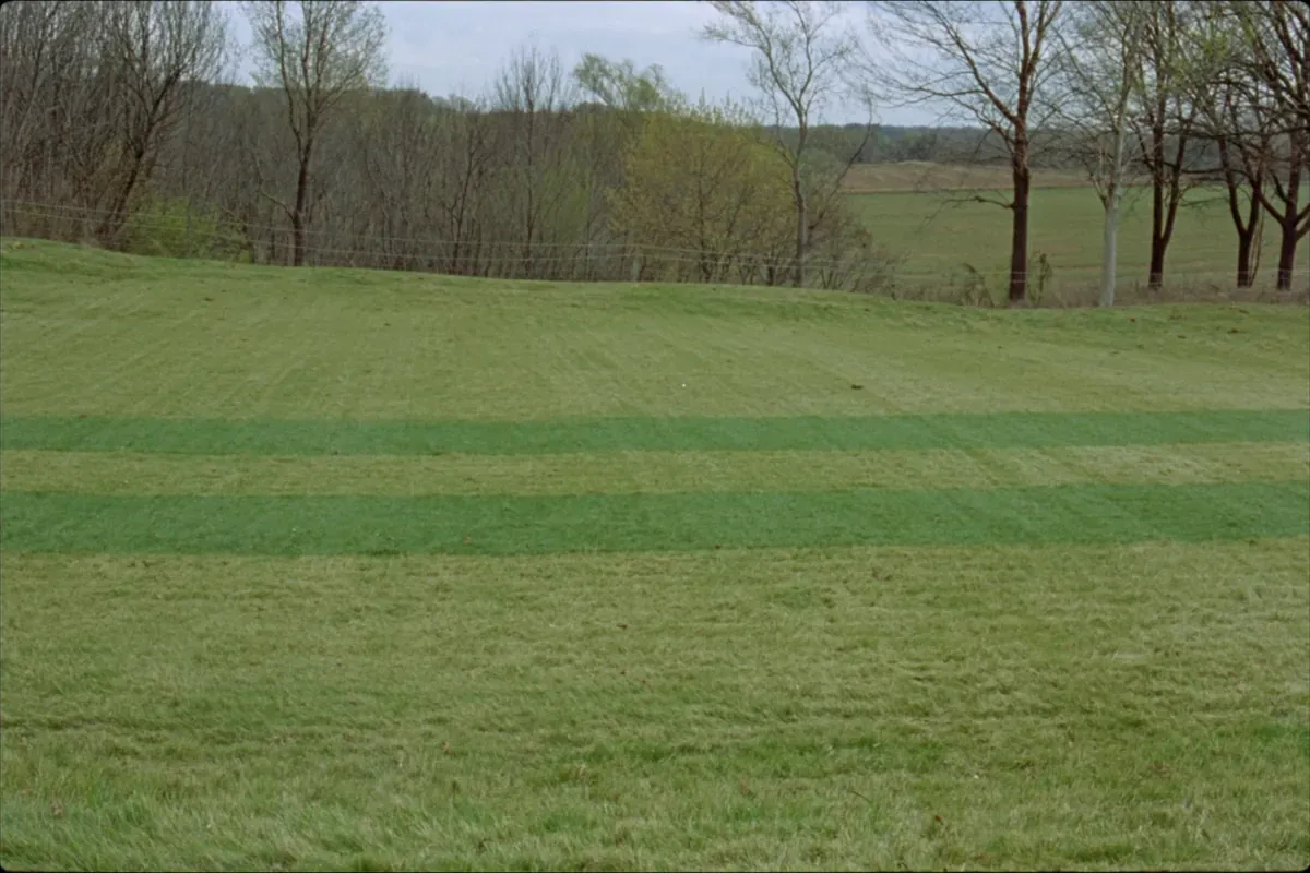 Parallel strips of greener grass across a lawn marking a buried septic drain field in Northeast Ohio